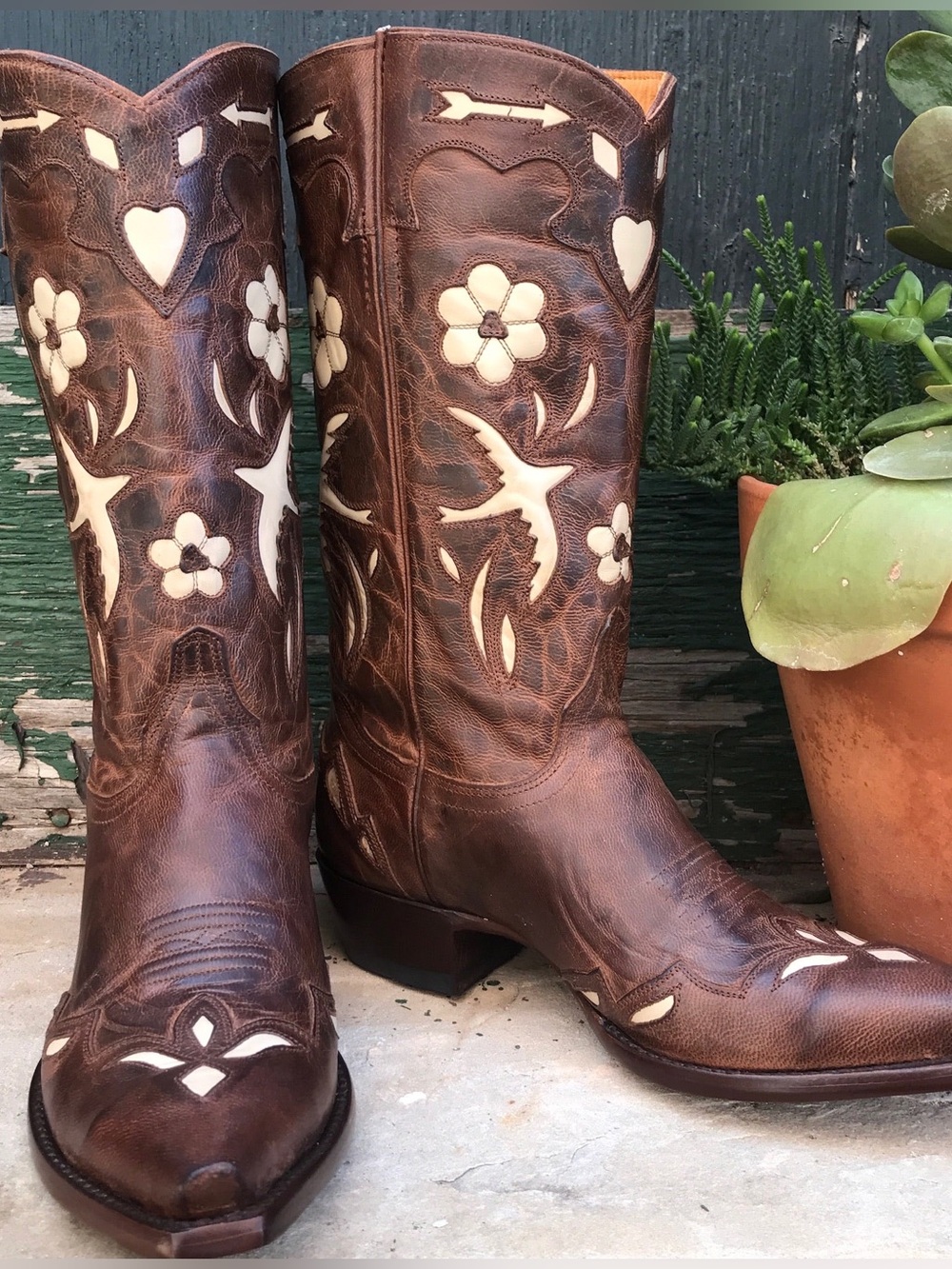 NIB Old Gringo Golondrina Boots